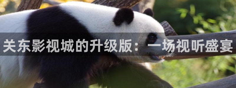 草莓视频免费版官网：关东影视城的升级版：一场视听盛宴