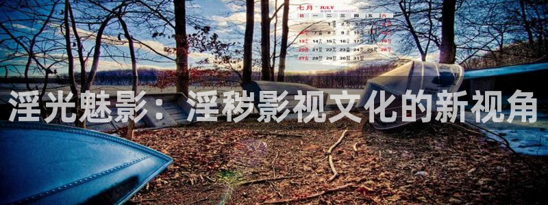 草莓视频官网导航：淫光魅影：淫秽影视文化的新视角