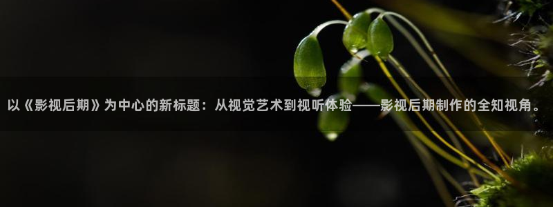 草莓视频2016