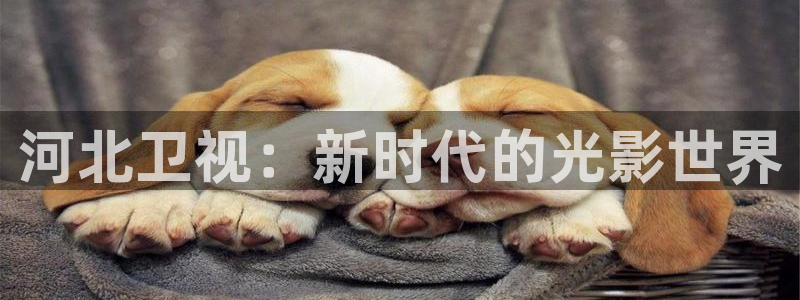 草莓视频下载52x