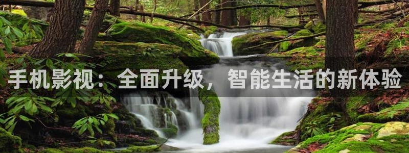 草莓视频在线导航