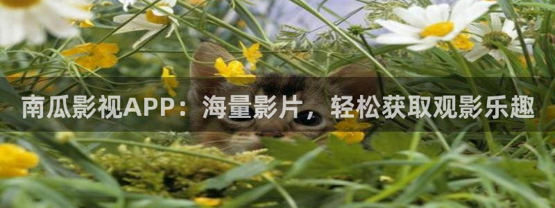 草莓视频在线免费观看