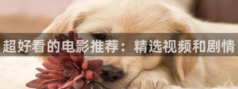 草莓视频aaaaa